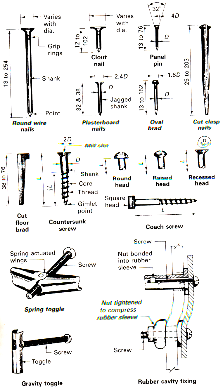 Various types of nails