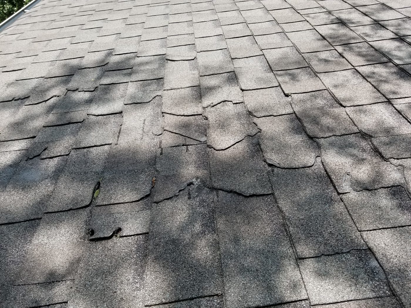 Roof covered with asphalt shingles