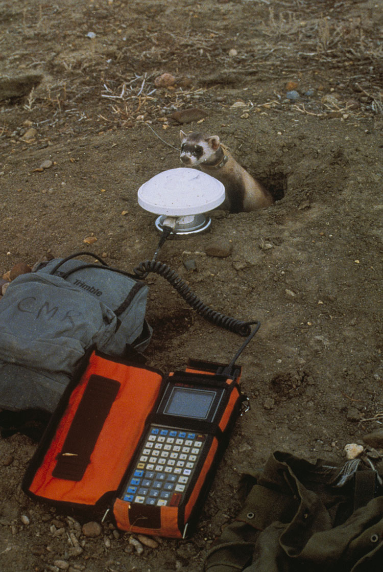 Global positioning system receiver with antenna