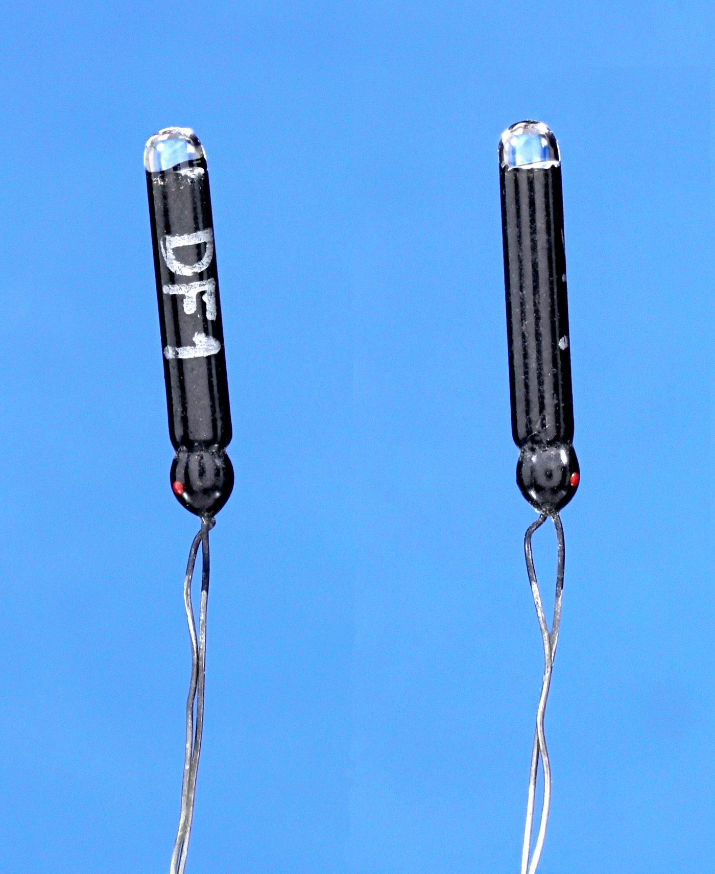 Two pn junction photodiodes DF-1 type