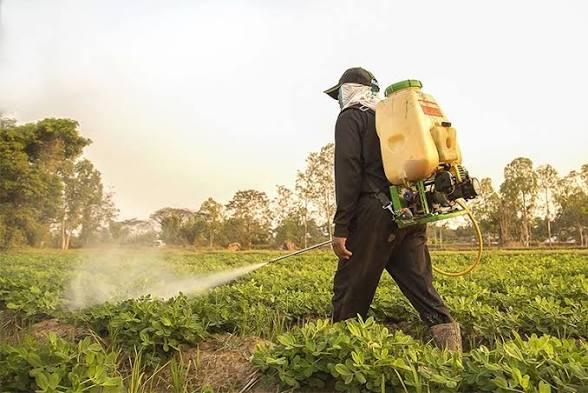 chemical land clearing