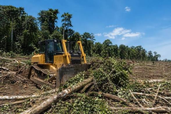 Mechanical land clearing.