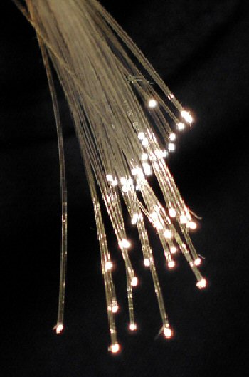 Fiber optic cables used in wide area networks